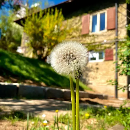 Apartment Cloos - Elegant With Panoramic View *