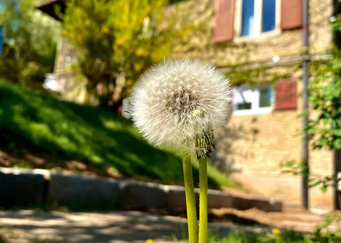 Appartement Cloos - Elegant With Panoramic View *