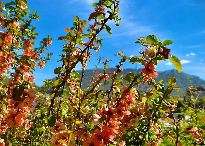 Apartment Cloos - Elegant With Panoramic View *