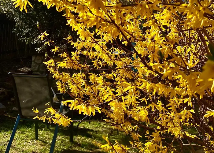 公寓 Cloos - Elegant With Panoramic View 布拉索夫